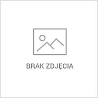 AM MOTORS Antoni Mądel